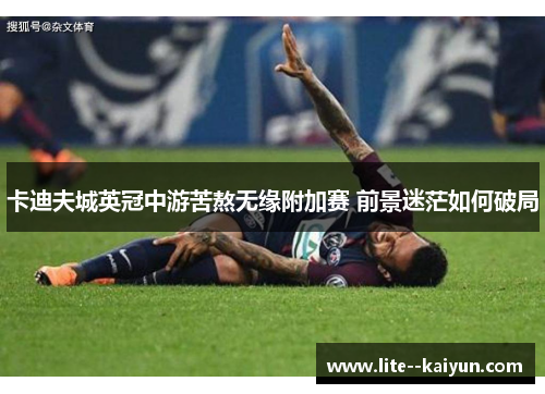 卡迪夫城英冠中游苦熬无缘附加赛 前景迷茫如何破局